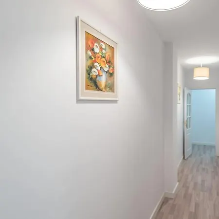 Apartment Near The Centre + Free Parking Malaga